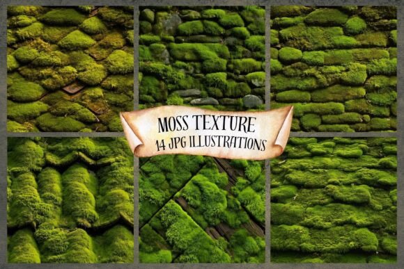 Moss Texture Digital Paper Pack: Bringing the Forest to Your Creative Projects